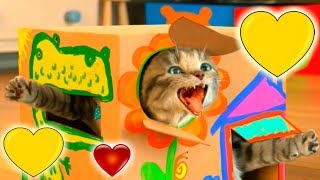 МОЙ МАЛЕНЬКИЙ КОТЕНОК #2 мультик игра как мультфильм для маленьких детей мальчиков и девочек МОЙ МАЛЕНЬКИЙ КОТЕНОК #2 мультик игра как мультфильм для маленьких детей мальчиков и девочек