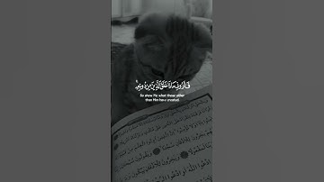 سعد الغامدي _سورة لقمان🤍