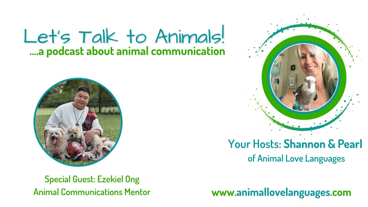 Let's Talk to Animals podcast with animal communicators Shannon Cutts