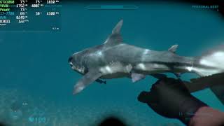 Shark Attack Deathmatch 2 PC Gameplay | GTX 1060 | 2019 Steam screenshot 5