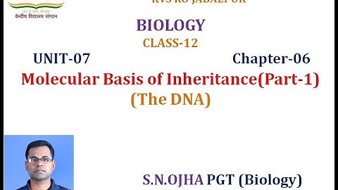 Molecular Basis of Inheritance Part -1(The DNA)