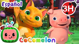 El baile animal | CoComelon y los animales | Dibujos para niños