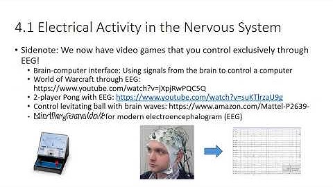 Which of the following is a cell in the nervous system that transmits information?