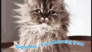 Sugar Ray - Every Morning (remix)