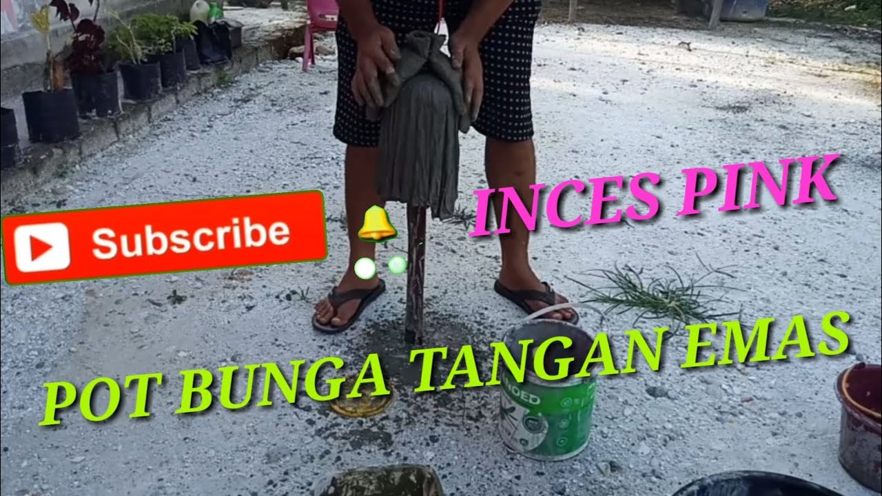 Pot bunga  dari  semen pot bunga  sarung tangan emas  YouTube