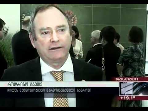 გაეროს ელჩების ვიზიტი