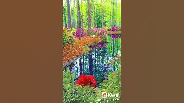 قارئ يمني