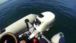 Come Calare Un Palamito