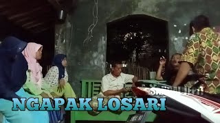 Ngapak losari