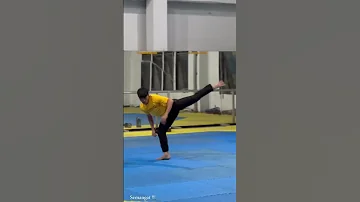 Wawan Saputra Taekwondo N Lion S 