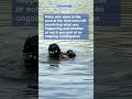 Northumbria Police confirm reason divers were seen in Newcastle's Leazes Park lake