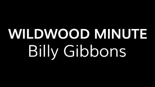 Billy Gibbons Inspired Lick  •  Wildwood Guitars