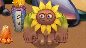 Waking Up Flowah (Amber Island)