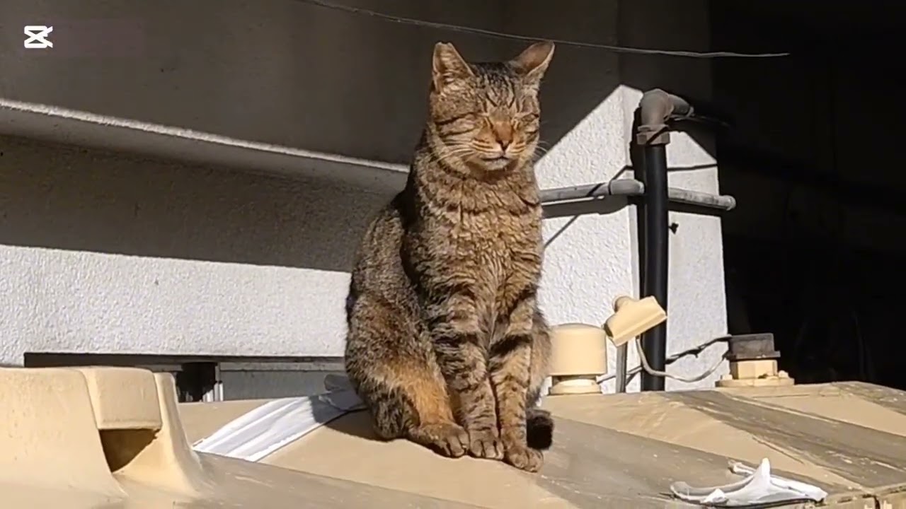 まさか？ってマヂで思ったばい🤭…🌠2931