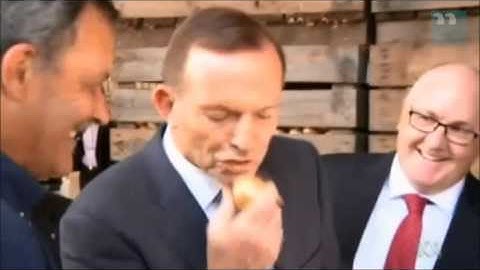 Tony Abbott