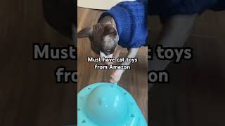 Must have cat /kitten toys from Amazon 2023