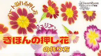 押し花 Youtube