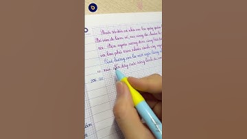 Chọn bút có định vị cầm bút chuẩn S206, test nét chữ