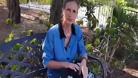 Connected Living with Dr Regina Jensen, part 4