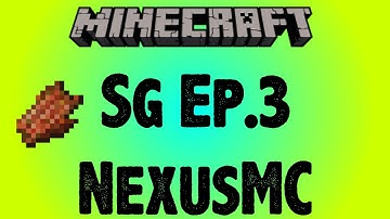 SG #3 TheNexusMC