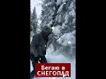 Попал в сильнейший СНЕГОПАД! Бегаю по сугробам зимой в ЛЕСУ! #бег #бегснуля #зима #линдуловскаяРоща