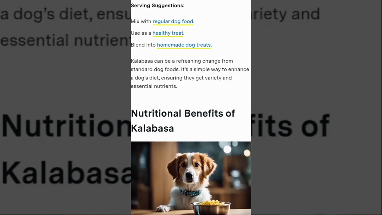 What Are The Nutritional Benefits of Squash to Dogd | Is Squash Safe for Dogs to Eat