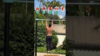 Pull Ups Calisthenics #shorts #youtubeshorts #trending #viral #subscribe #training #workout #pullup