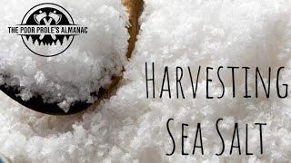 Harvesting Sea Salt
