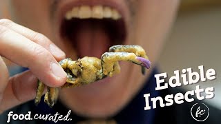 Deep Frying Tarantula & Eating Bugs Cooked By Nycs Bug Chef
