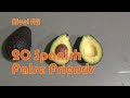 Falsos Amigos en Español e Inglés