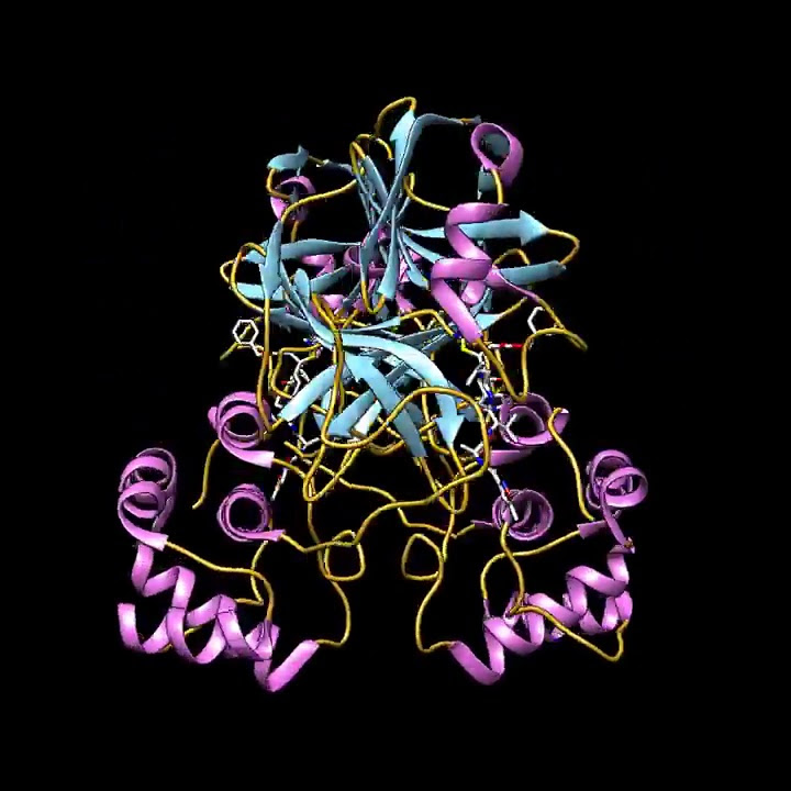 COVID-19/SARS-CoV-2 Main Protease