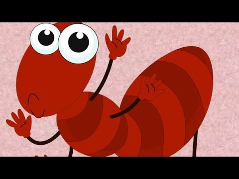 Riddle #211 - Big scanning electron microscope - YouTube