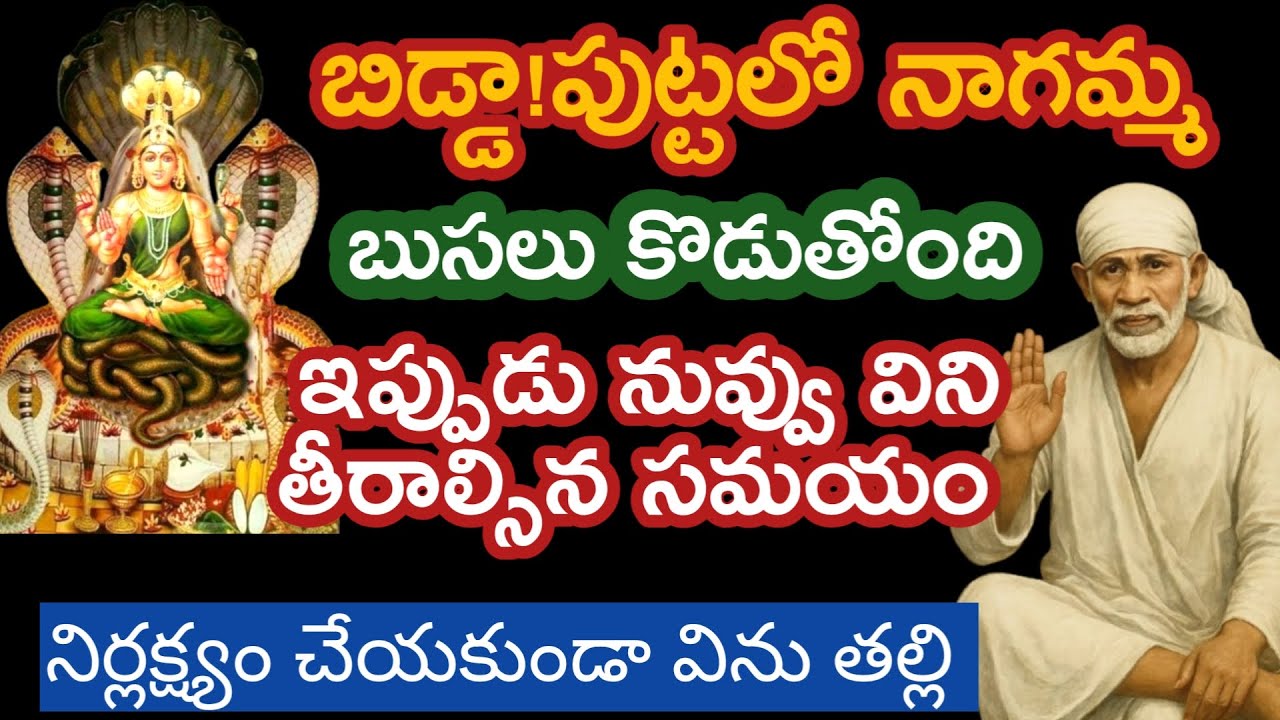 పుట్టలోని నాగమ్మ బుసలుకొడుతూ నీకు ఒక మాట చెప్పాలని వచ్చాను తల్లీ ఇప్పుడే విను |saibaba advice