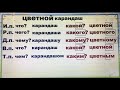 Склонение имени прилагательного (часть 1)