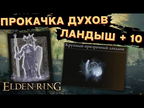 Крупный призрачный ландыш + 10 | Прокачка духов | Elden Ring