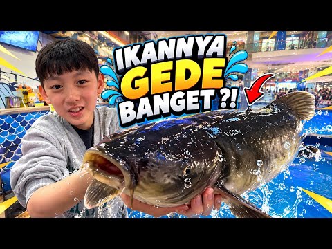 Unbelievable! You Can Actually Go Fishing Inside the Mall