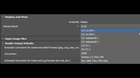 ICC display profiles support in 3dsMax and Maya.