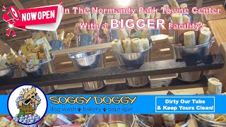 The Soggy Doggy is Open For Business in Normandy Park with an even BIGGER facility!