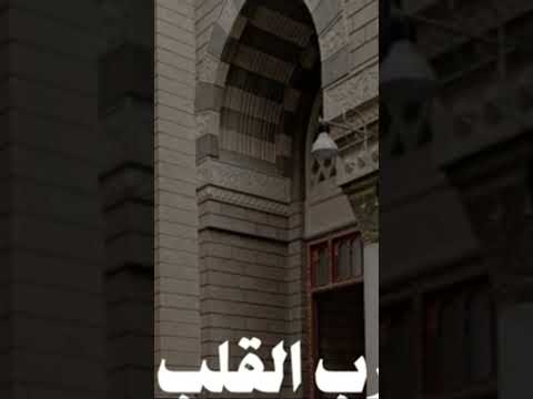 سبب خراب القلب الشيخ عقيل الشمري