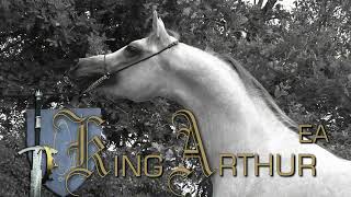 King Arthur EA