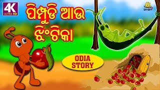 The Ant and the Grasshopper Odia Story Fairy Tales in Odia Koo Koo TV