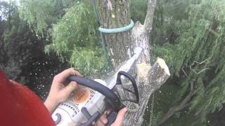 2015 Treework Randoms