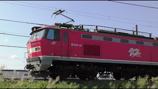 レッドサンダーEF510-13牽引高速貨物【4K】信越本線下り4095レ