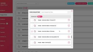 New Vivid Practice Collection Assignments March 2025 screenshot 5