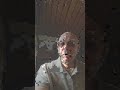 Александр Чаплыгин: политическое самоубийство Урмаса Рейнсалу