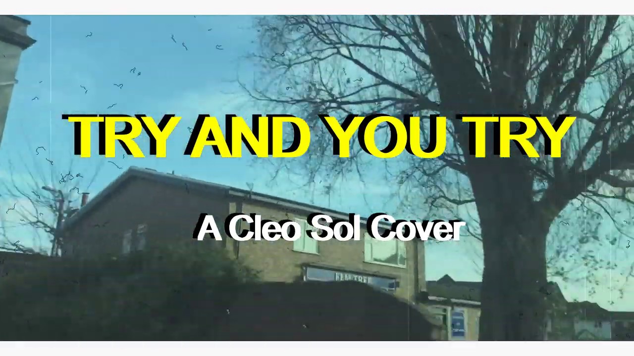 Cleo Sol Try And You Try