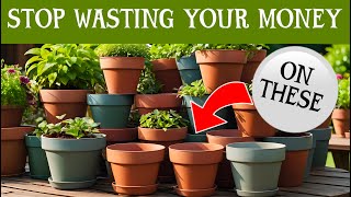 Stop wasting your money on plastic plant pots. Watch for my solution... and it