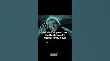 Top 10 PLOT TWIST in harry potter #harrypotter