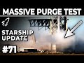 SpaceX Conducts Massive Water Deluge System Purge - Starbase Weekly Update #71