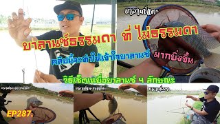 EP287 บาลานซ์ธรรมดา ที่ ไม่ธรรมดา (คลิปนี้จะทำให้เข้าใจ บาลานซ์ได้ดียิ่งขึ้น)